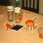 Jeden Abend wurde sehr viel Essen geliefert. Immer gab es Chicken mit Pommes - auch, wenn wir nicht da waren. 