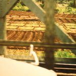 Auf dem Weg in die Uni müssen wir immer die Brücke über den Nil überqueren. 
